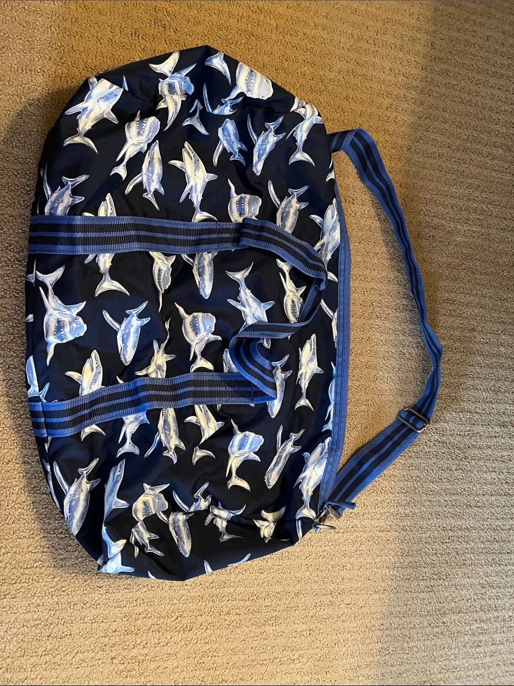 Pottery Barn kids shark duffle bag